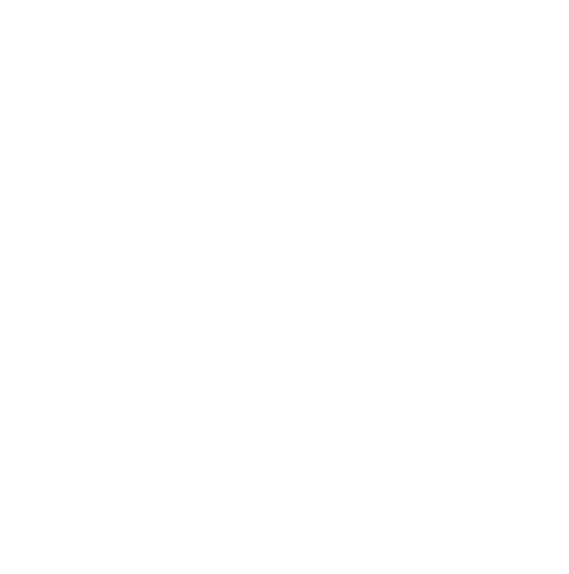 logotype outcider short